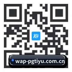 iPhone APP 二维码